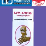AVM - Artrisa 500mg Capsule Glucosamine Sulphate 500mg ( 1 x 60's )